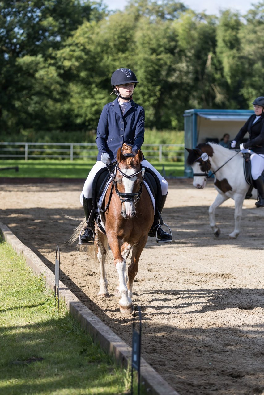 Bild 301 - Pony Akademie Turnier